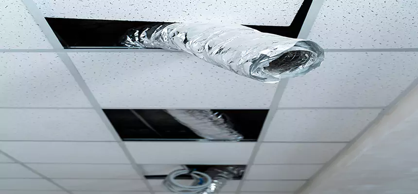 Affordable HVAC Sanitizing After Pest Removal in Newport