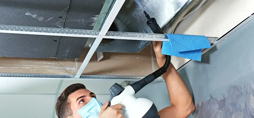 Our Air Duct Rodent Removal Services in Newport, RI