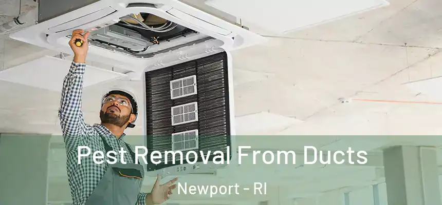  Pest Removal From Ducts Newport - RI