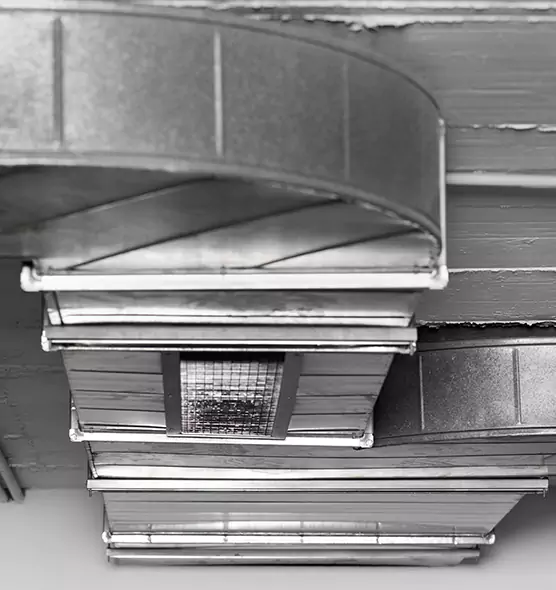 Professional Air Duct Pest Removal in Newport, RI