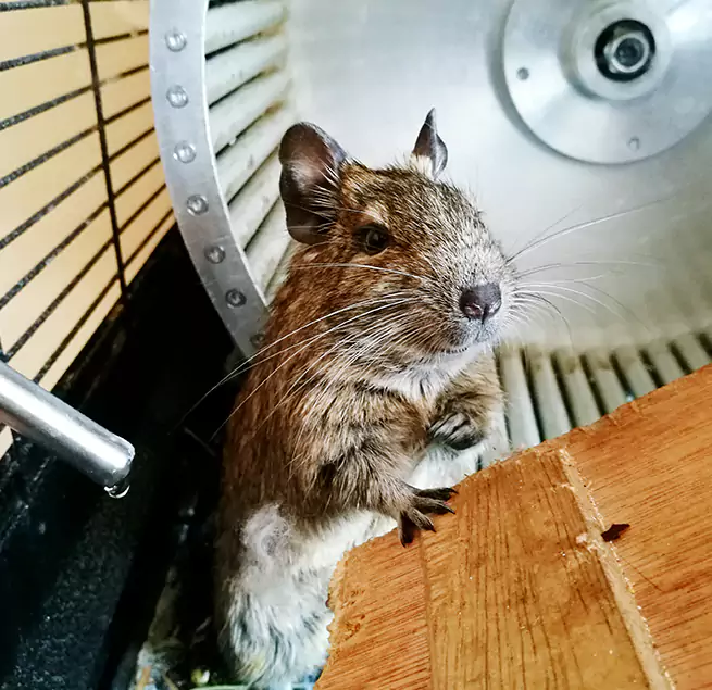 Why Homeowners & Businesses Trust Us Newport, RI