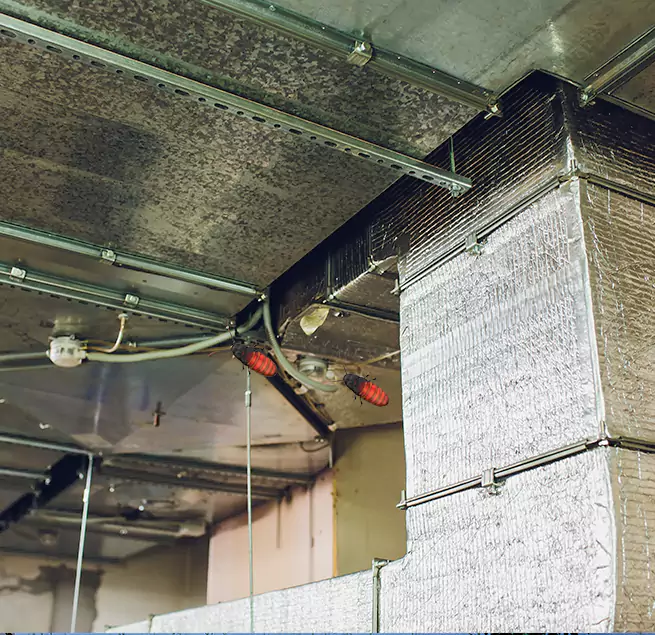 Why Homeowners & Businesses Trust Us Newport, RI?